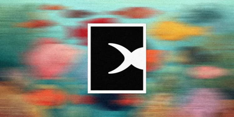 Abstract Fishtank, Direction artistique